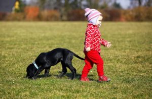 Comment Preparer Son Chien A L Arrivee D Un Bebe